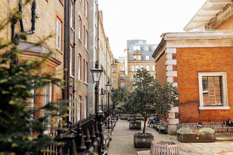 A narrow urban garden surrounded by historic brick and stone buildings with classic architecture, featuring a paved pathway lined with black vintage-style lampposts and wooden benches. On one side, there are neatly maintained garden beds with lush green shrubs and small flowering plants, while on the other side, a young tree with dense foliage provides shade. The garden's compact layout includes a few RGB-style wooden planter boxes filled with flowering plants and decorative foliage, and the scene is illuminated by soft natural daylight, highlighting the textures of the wet soil in the garden beds and the vibrant colors of the plants. The overall setting reflects careful garden maintenance and landscaping work, with a focus on creating a tranquil outdoor space amidst an urban environment, as managed by Gardeners Mayfair.