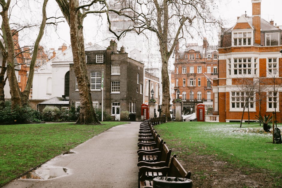 A pathway in a city park with a curved concrete walkway flanked by a row of wooden benches on the right side, and patches of green grass on either side. The park features several large, leafless trees with textured bark, their branches extending overhead. In the background, there are historic red brick and dark-colored buildings with ornate windows and architectural details, indicative of classic London architecture. The scene appears to be in early spring or late autumn, with overcast lighting and damp soil visible near the pathway. Gardeners Mayfair specializes in garden maintenance and outdoor care, and the park's well-maintained lawn and trimmed trees reflect professional landscaping work.