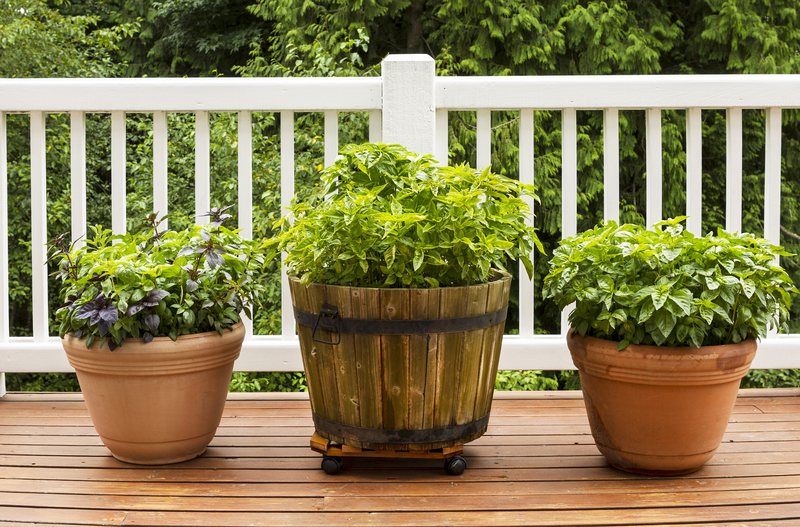 garden maintenance garden design