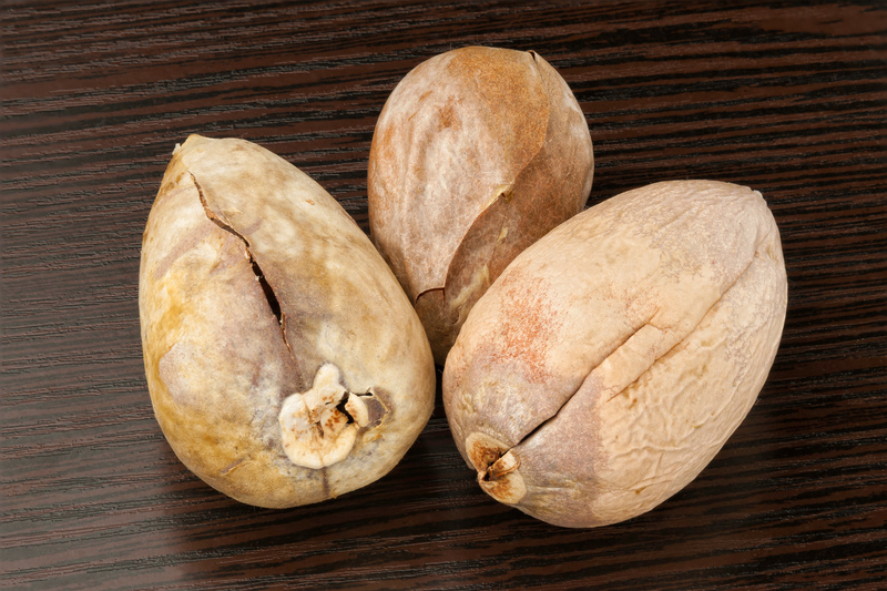 garden design irrigation system